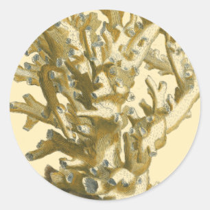 Sticker Rond Le corail de la mer