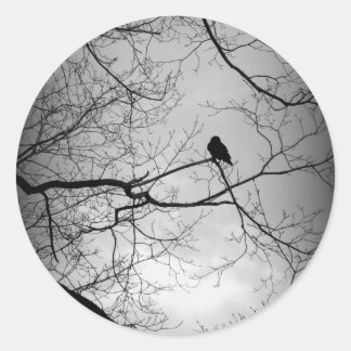 Sticker Rond Le Corbeau