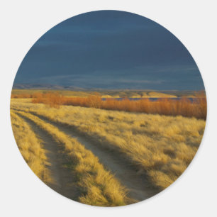 Sticker Rond Le coucher de soleil met en valeur l'écorce rouge 
