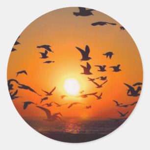 Sticker Rond Le coucher du soleil du lac Érié