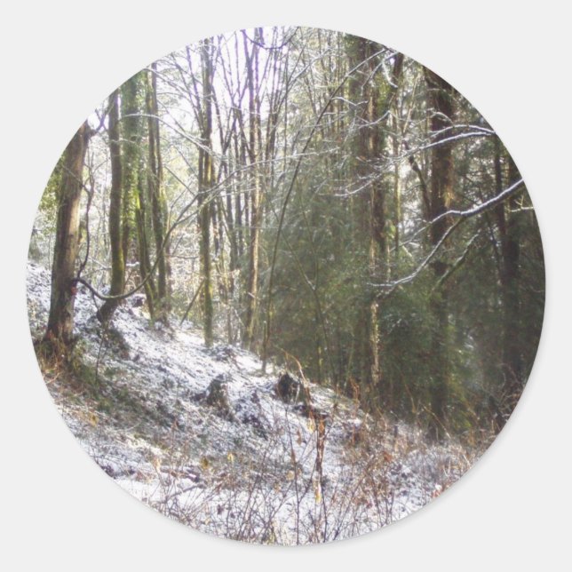 Sticker Rond Le doré de la forêt éclairée par la neige (Devant)