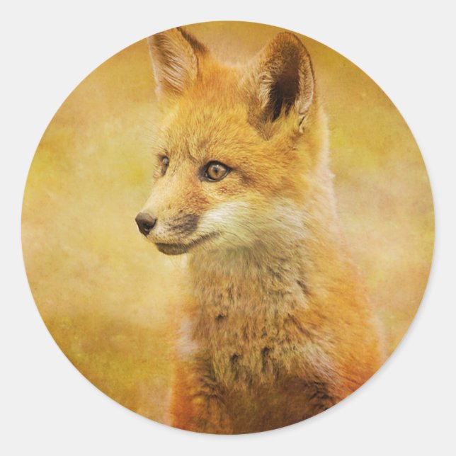Sticker Rond Le Fox dans le bois (Devant)