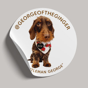 Sticker Rond Le George Influenceur animalier moderne Photo 1,