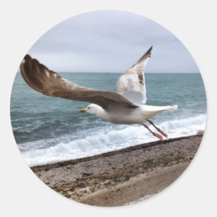 Sticker Rond Le goëland d'Etretat français