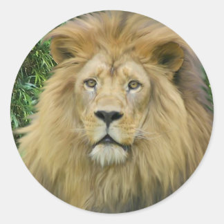 Sticker Rond Le lion