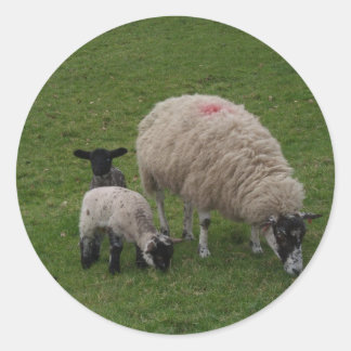 Sticker Rond Le mouton noir