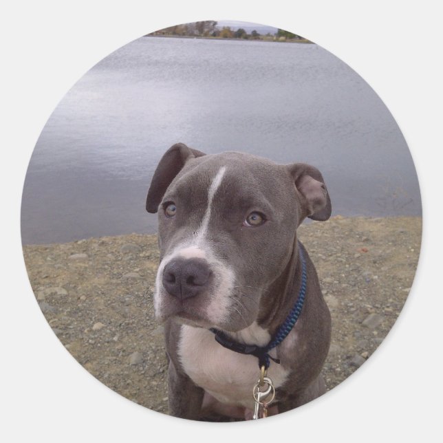 Sticker Rond Le parc Koa Vasona (Devant)