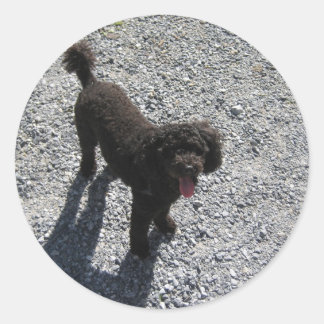 Sticker Rond Le Petit Poodle Noir
