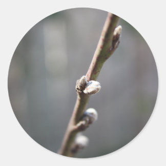 Sticker Rond Le printemps arrive