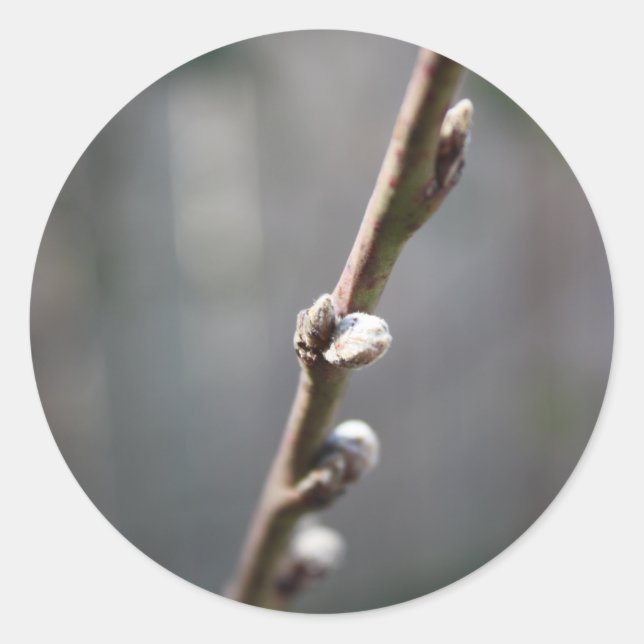 Sticker Rond Le printemps arrive (Devant)