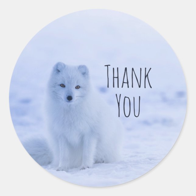 Sticker Rond Le renard arctique mou sur le Merci de neige (Devant)