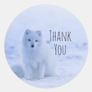 Sticker Rond Le renard arctique mou sur le Merci de neige