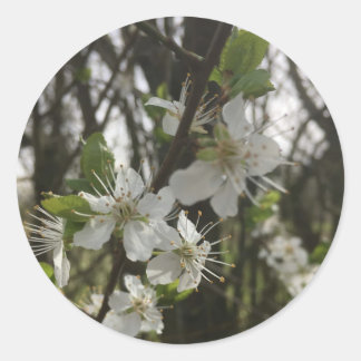 STICKER ROND LE RETIRER - PURETÉ DE L'ESPOIR