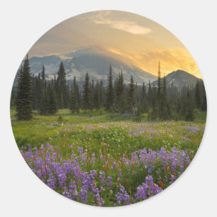 Sticker Rond Le terrain de chasse d'Indian Henry au lever du so