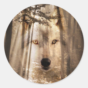 Sticker Rond Le visage du loup dans les bois