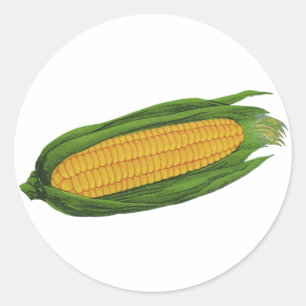 Sticker Rond Légumes alimentaires vintage ; Maïs jaune sur épi