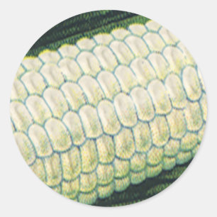 Sticker Rond Légumes vintages de la nourriture Maïs blanc sur l