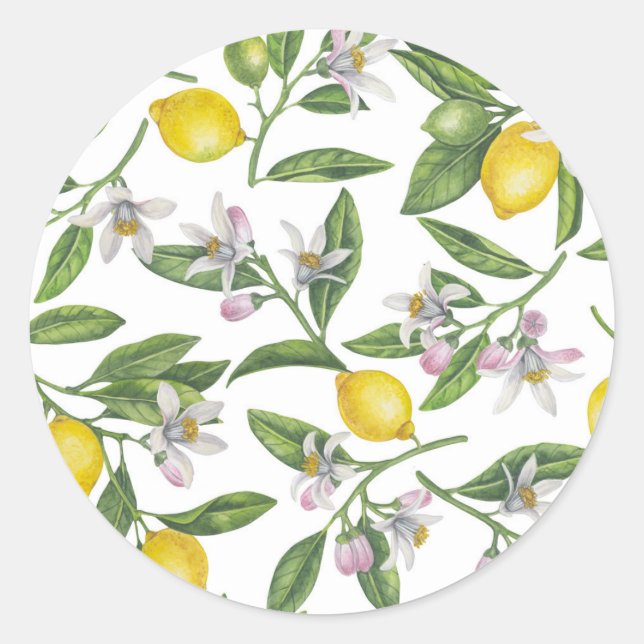 Sticker Rond Lemon branches with blossoms and fruit on white (Devant)