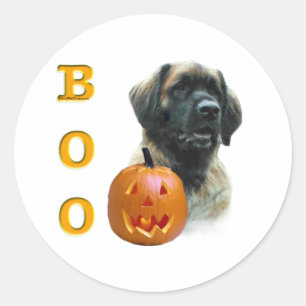 Sticker Rond Leonberger Boo - Customisé