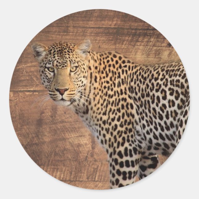 Sticker Rond Leopard (Devant)