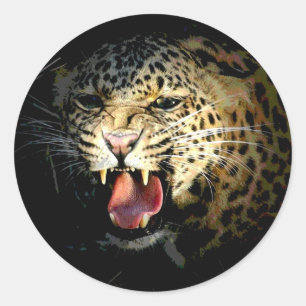 Sticker Rond Leopard