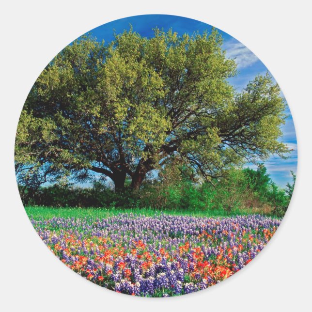 Sticker Rond Les arbres vivent du chêne parmi les bleuets du Te (Devant)