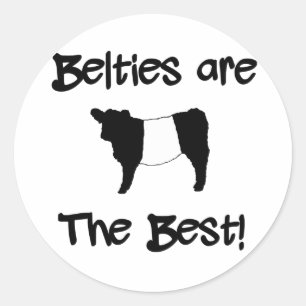 Sticker Rond Les bibelots sont les meilleures vaches Galloway B