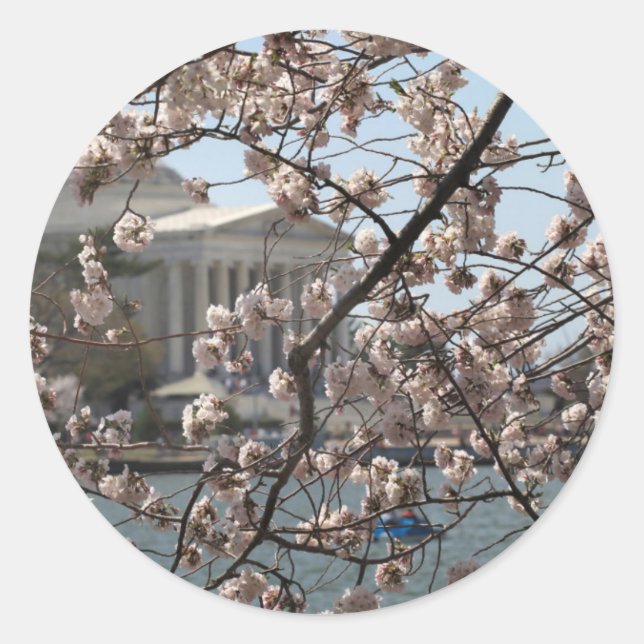 Sticker Rond Les cerisiers en fleurs à Washington DC (Devant)