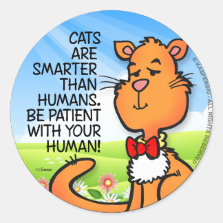 Sticker Rond Les chats sont plus intelligents
