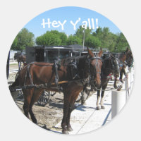 Les Chevaux Amish Dites Bonjour !