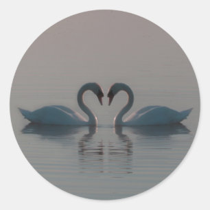 Sticker Rond Les cygnes bleus doivent être l'amour