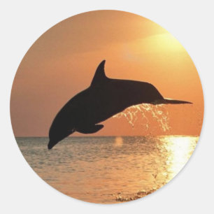 Sticker Rond Les dauphins du coucher du soleil