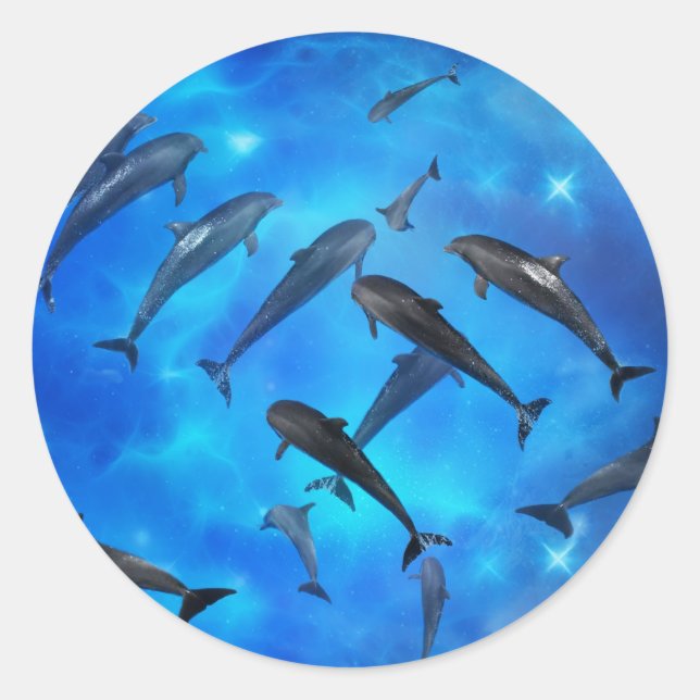 Sticker Rond Les dauphins nageant dans l'océan (Devant)