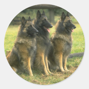 Sticker Rond Les Dogs de German