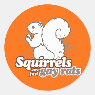 STICKER ROND LES ÉCUREUILS SONT JUSTE DES RATS GAYS