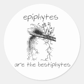 Sticker Rond Les épiphytes sont les bestiphytes