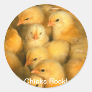 Sticker Rond Les filles Rock ! Bébés Poulets poulets poulets po