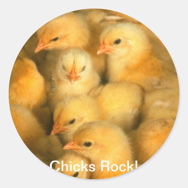 Sticker Rond Les filles Rock ! Bébés Poulets poulets poulets po (Devant)
