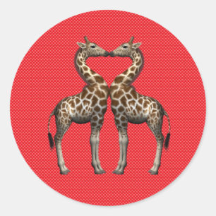 Sticker Rond Les girafes amoureuses