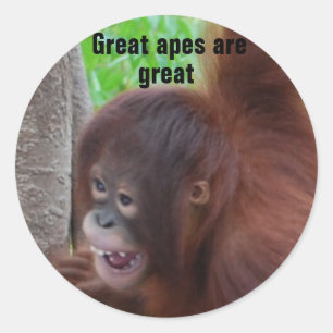 Sticker Rond Les grands singes sont grands