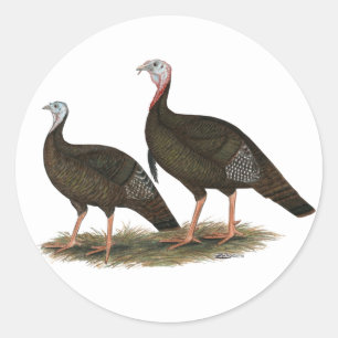 Sticker Rond Les Jeunes Filles de Turkeys