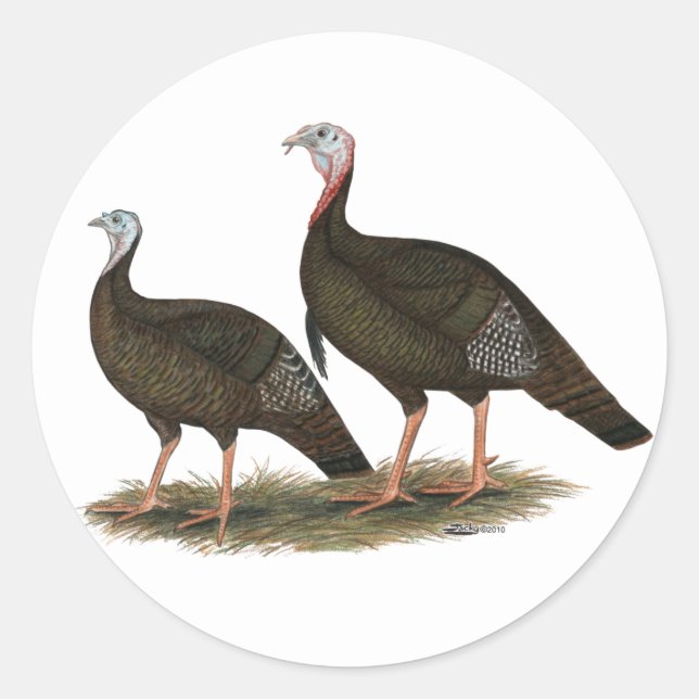 Sticker Rond Les Jeunes Filles de Turkeys (Devant)