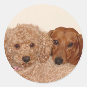 Sticker Rond Les meilleurs bourgeons