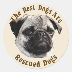 Sticker Rond Les Meilleurs Chiens Sont Secourus (Carlin)