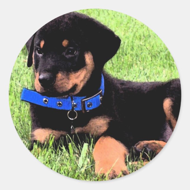 Sticker Rond les petits de rottweiler. (Devant)