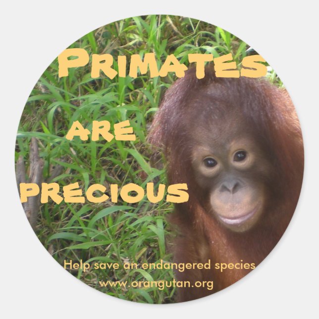 Sticker Rond Les primates sont précieux (Devant)