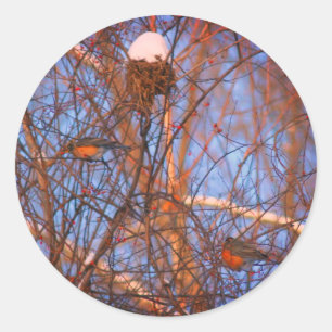 Sticker Rond Les Robins d'hiver Faune Nature