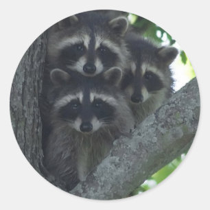 Sticker Rond Les trois amis