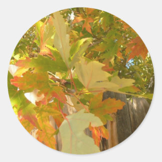 Sticker Rond L'été s'est terminé