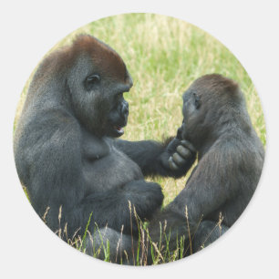 Sticker Rond L'éternel frère Gorilla